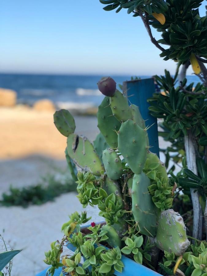 Tannur Del Carmine Villa Noto Bagian luar foto